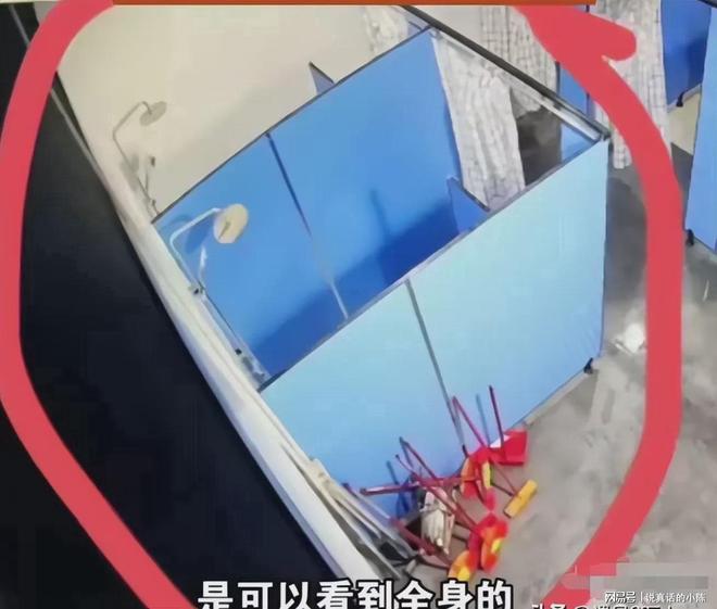 第1135页