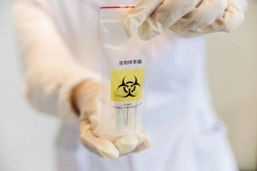 游戏专题 第221页