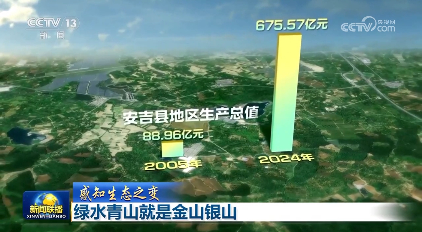 第1335页