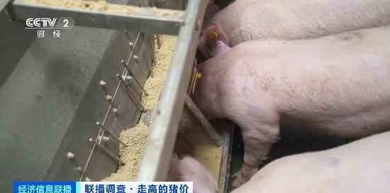 游戏专题 第132页