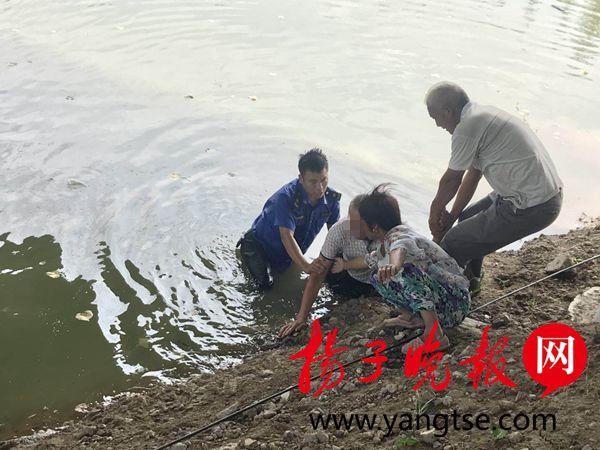 游戏专题 第123页