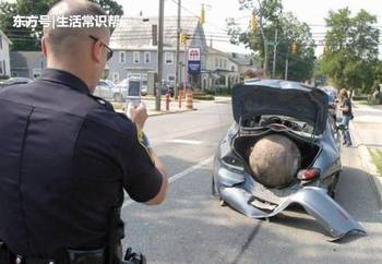 娱乐生活 第115页