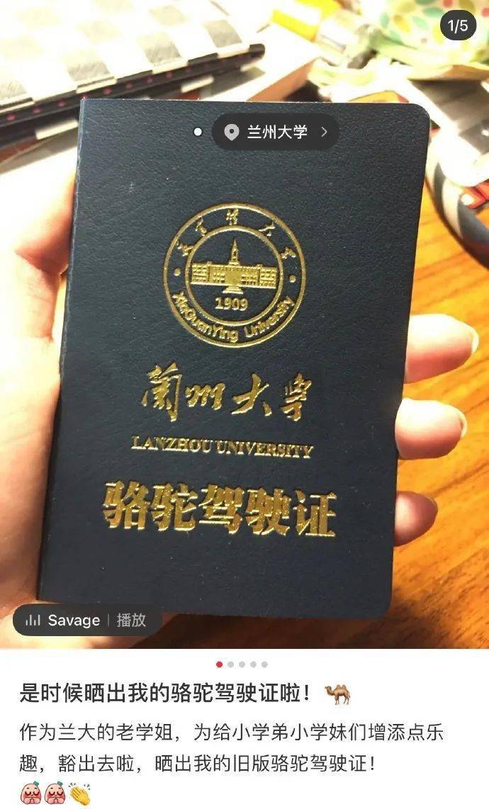 地方新闻 第93页