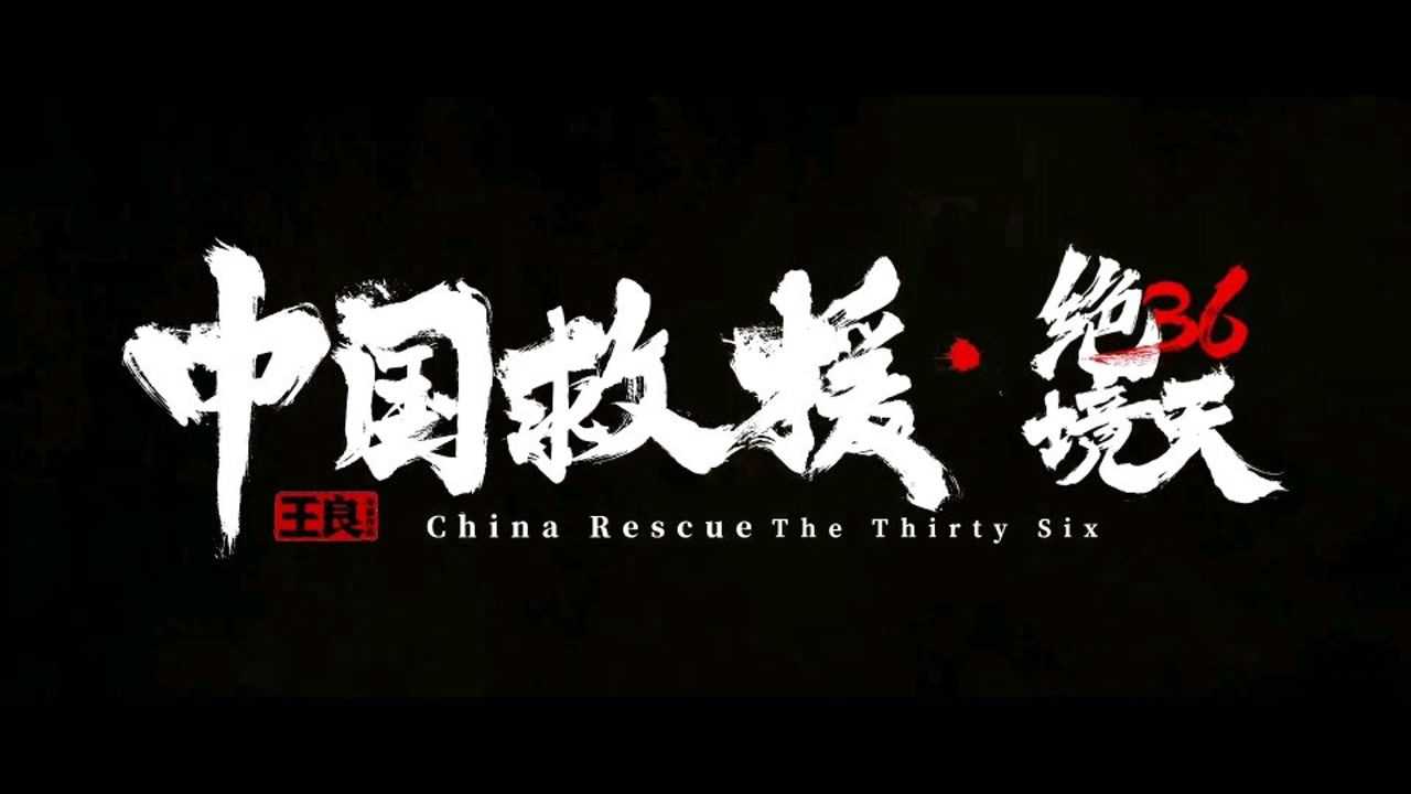 中国救援队绝境36天