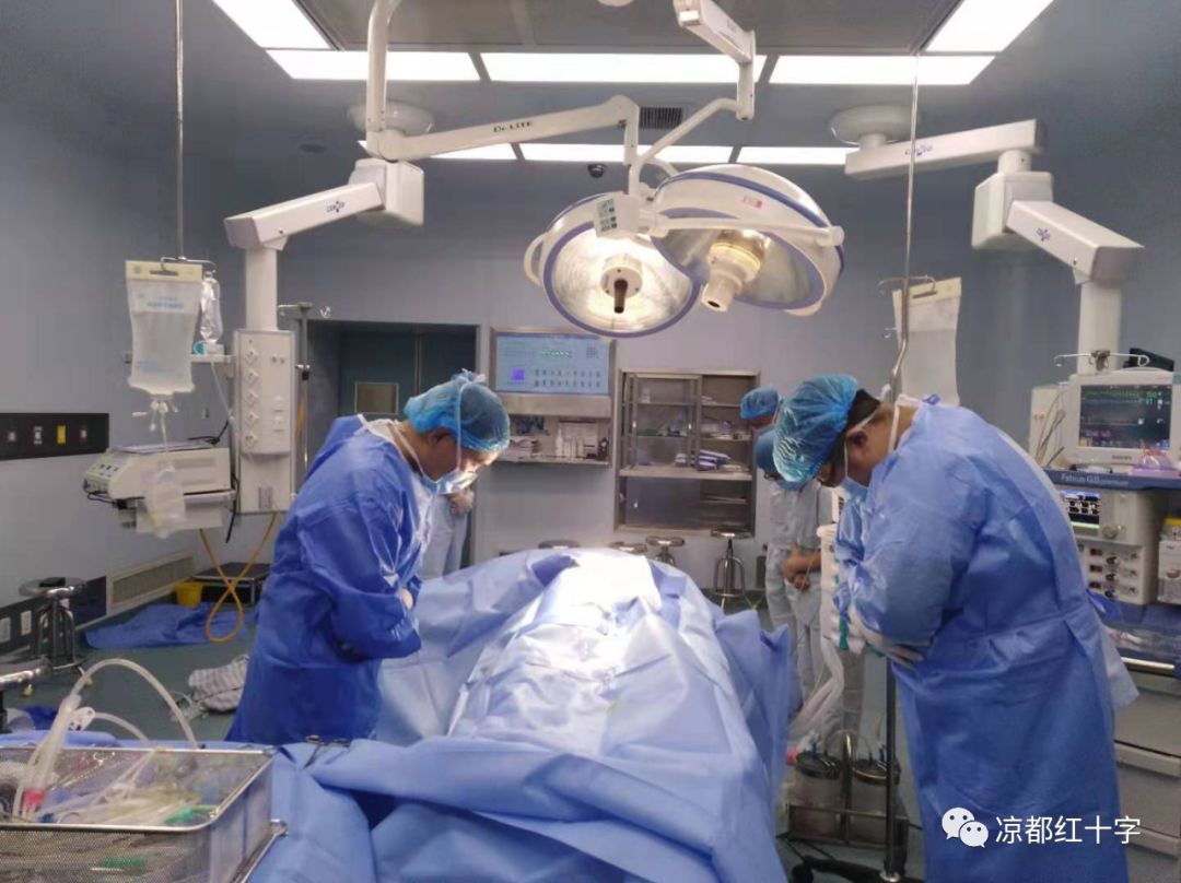 脑干出血当场死亡，深度解析与应对