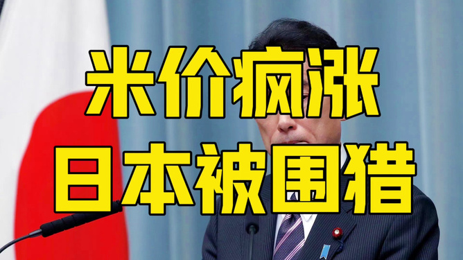 日本米价骚动，背后的真相与影响