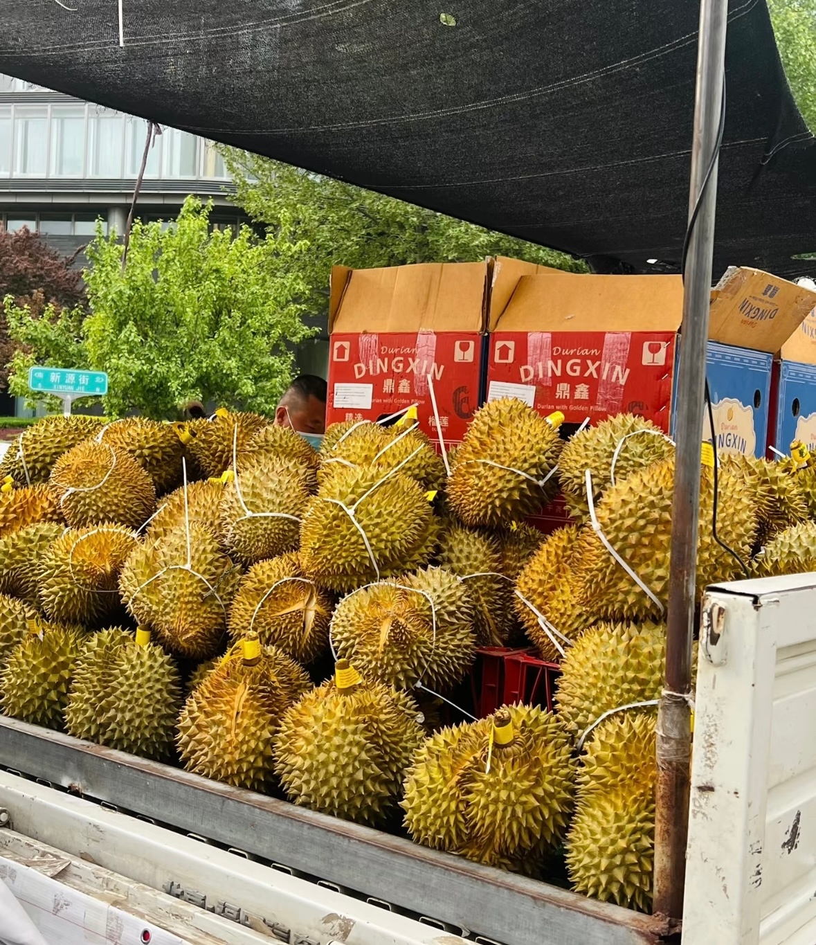 榴莲降价，享受美味正当时！