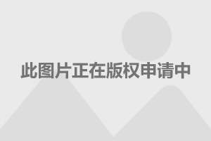 林夏薇被申请破产，背后的故事引人深思