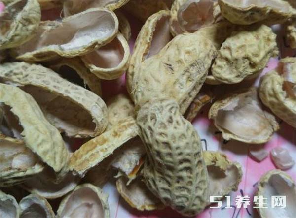 揭秘花生壳里的秘密，花生仁的奇妙之旅