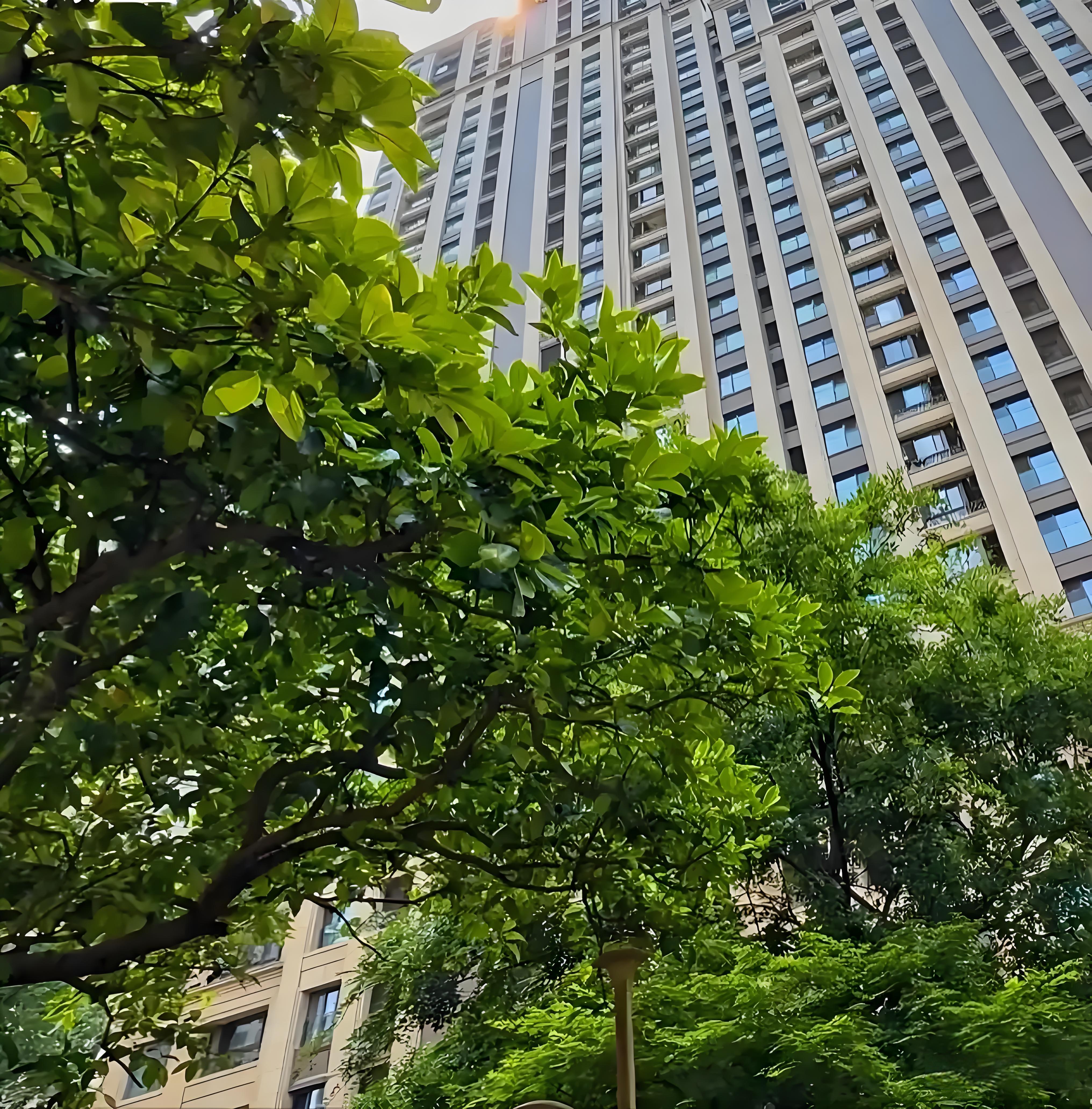揭秘豪华住宅背后的故事，一探价值3000万豪宅的魅力