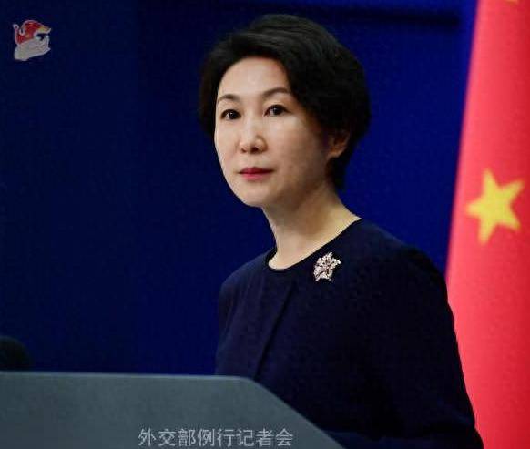 外交部，勿要玩火——论国际关系中的冷静与明智决策