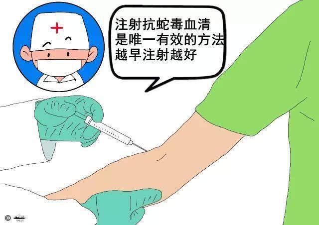 毒蛇咬伤自救指南，关键步骤与注意事项