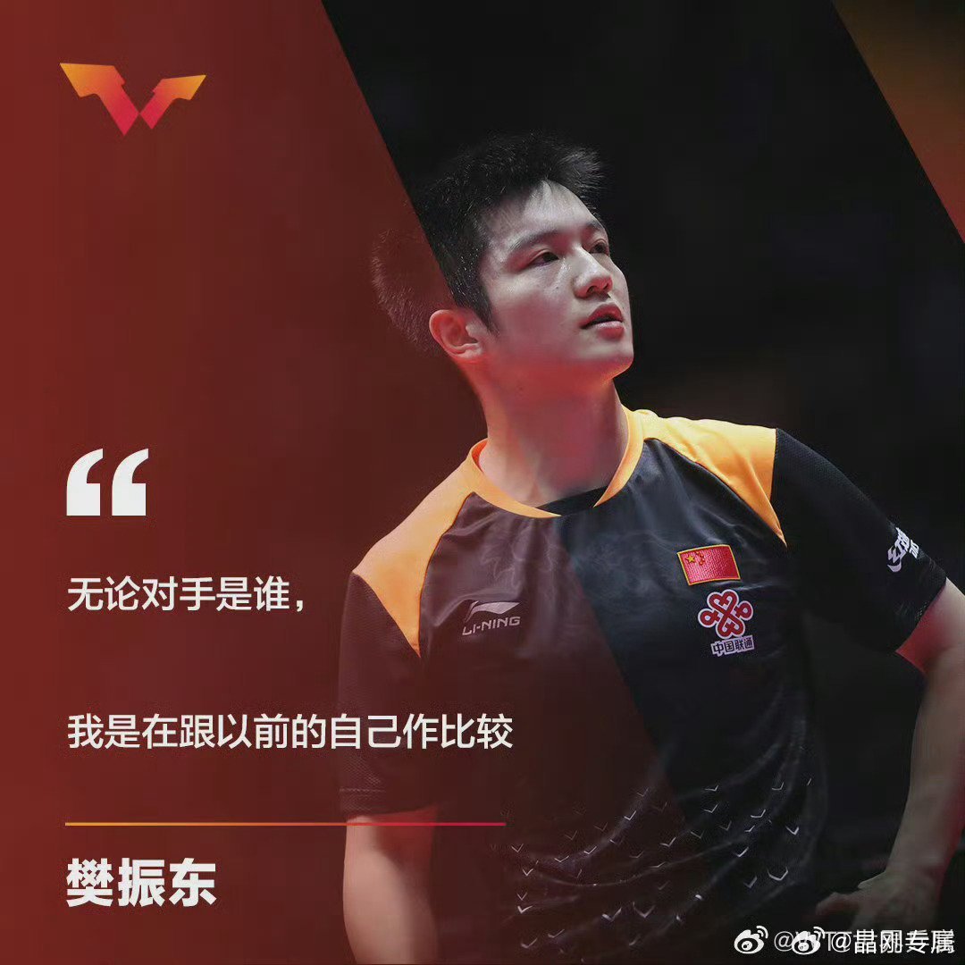 球队经理回应樊振东德甲待遇，深度解析与未来展望