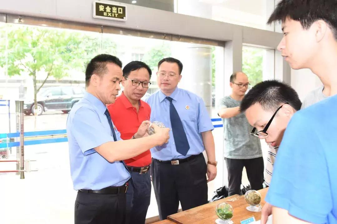 糖果检出大麻成分，探究背后的真相与警示