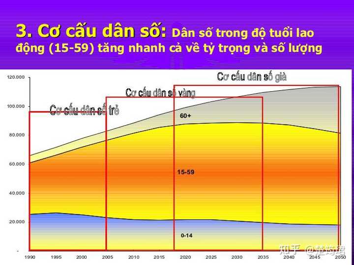 越南取消计划生育政策的原因深度解析