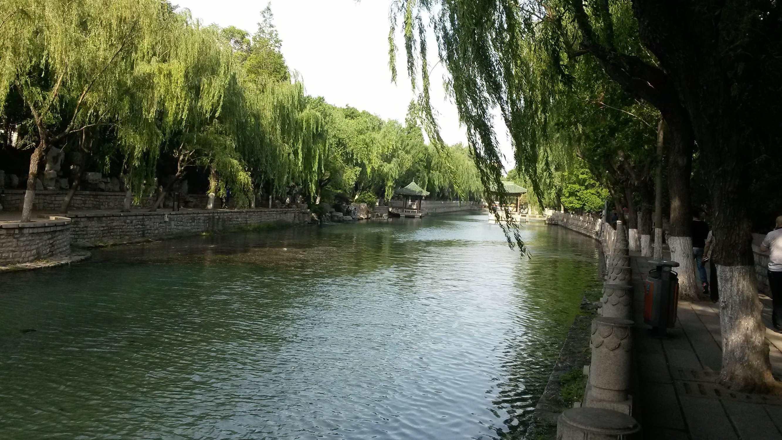 男子湖畔遭遇蛇咬惊魂记