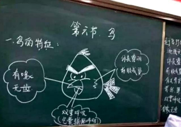 老师的板书是什么意思