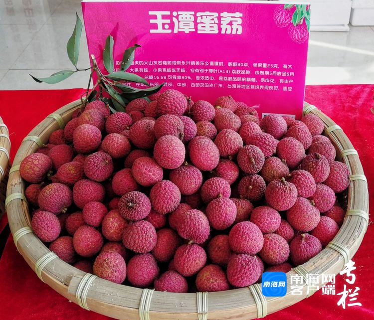 海口单颗荔枝王拍卖出天价，6.8万元高价背后的故事