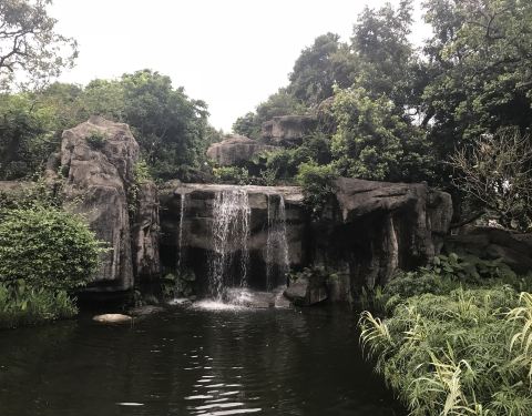 海口荔枝园门票价格详解