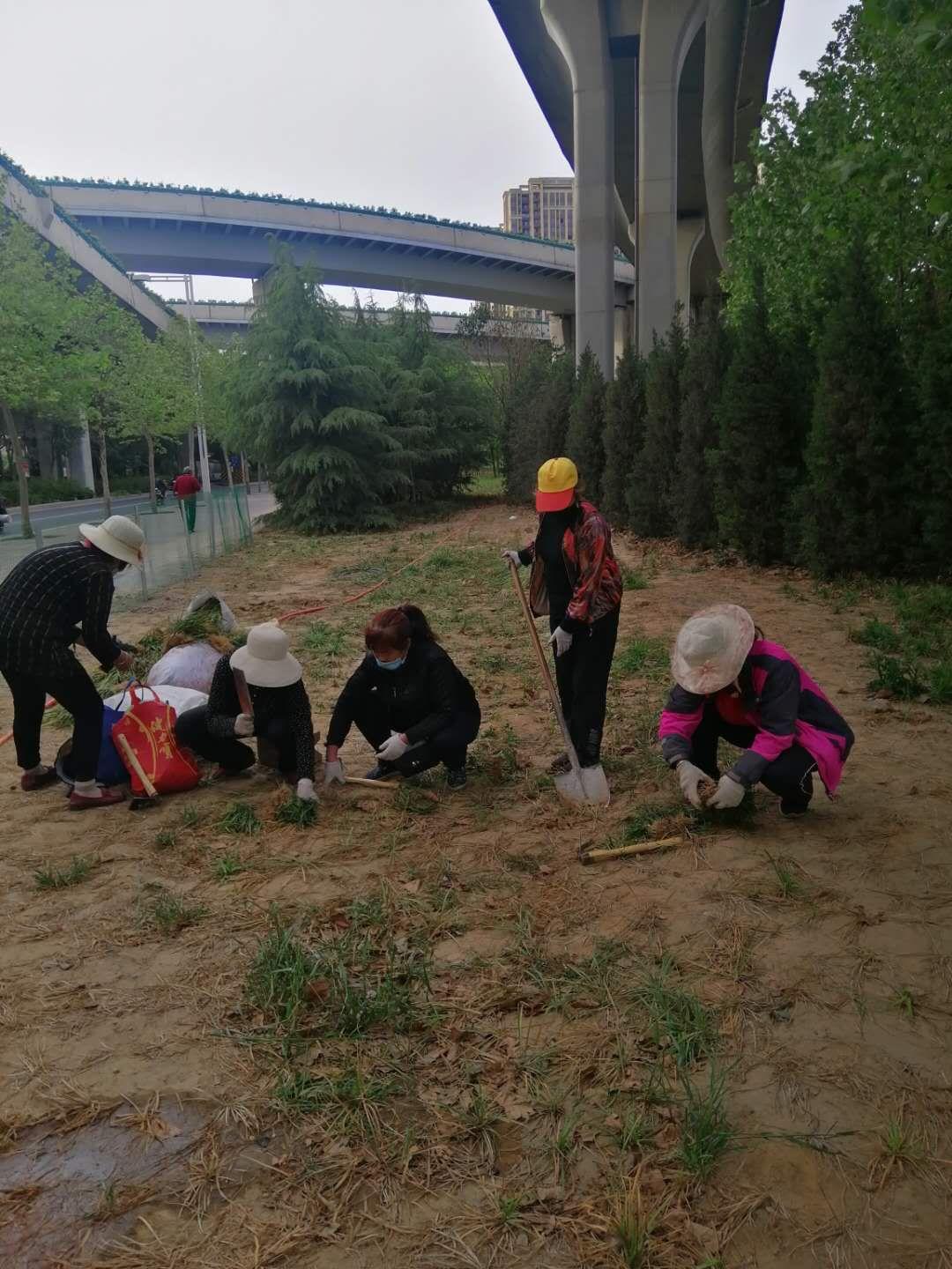 停车被交警贴罚单，车主们的必修课