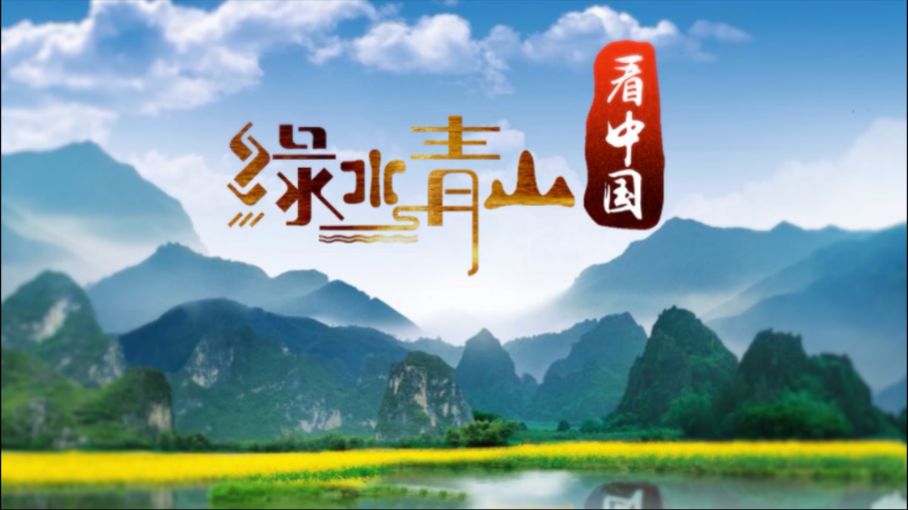 一组海报感受中国的绿水青山
