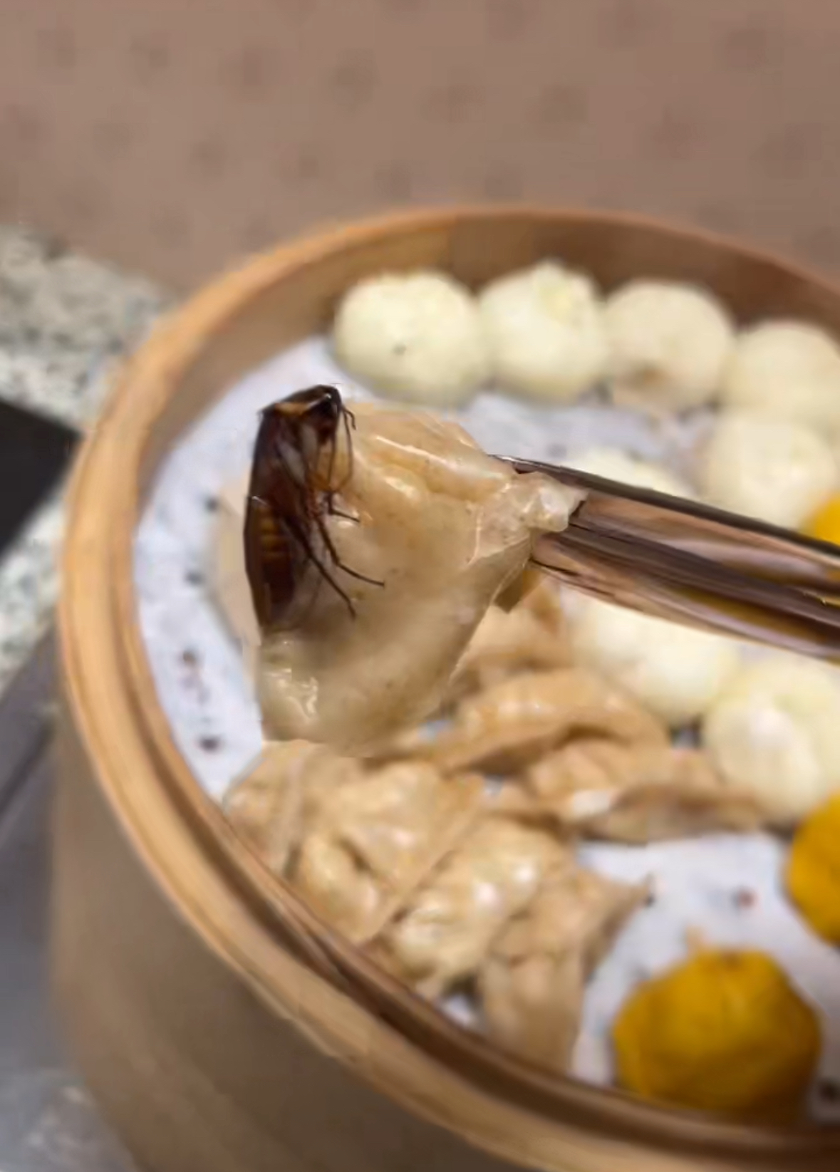 酒店早餐惊现蒸蟑螂，一场关于食品安全与卫生质量的反思