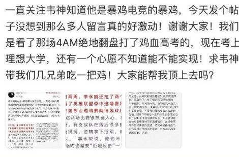 韦神粉丝数量，一路飙升的荣耀之路