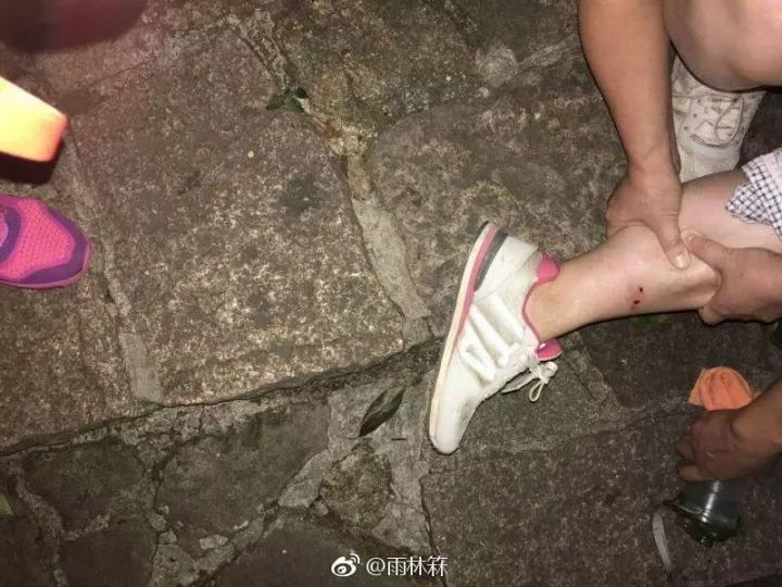 揭秘真相，武夷山并未发生女游客被蛇咬致死事件——假的
