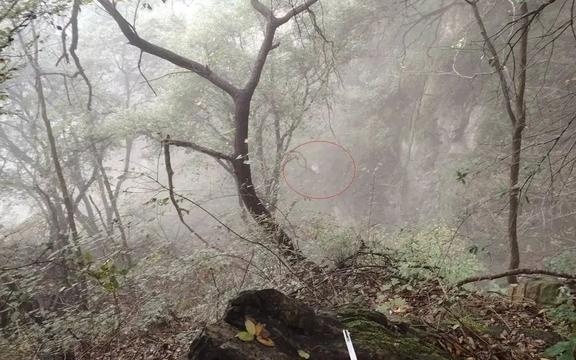 退休教授雨夜爬山失足坠崖遇难，一次痛心的告别