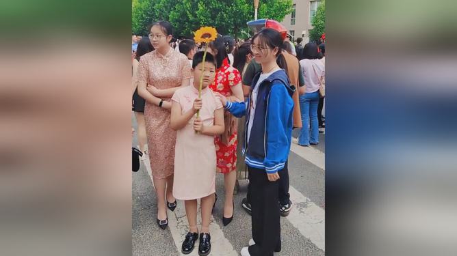 穿旗袍举向日葵的意义，一种独特的时尚与情感表达