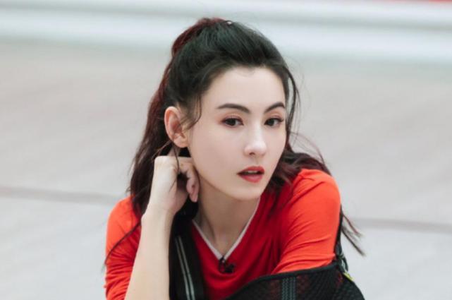 浪姐成团名单，聚焦热门现象，探寻闪耀之星