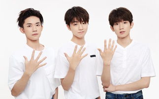 TF三代登陆少年团疑全员放弃高考事件深度解析