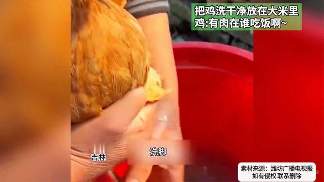 关于把给鸡吃的米给人吃好吗的探讨