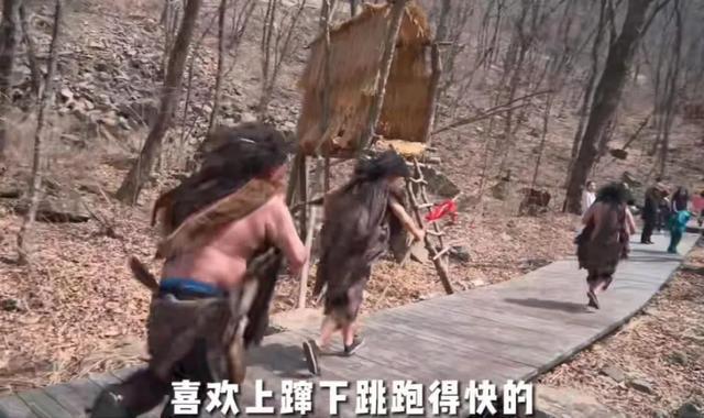 神农架景区招野人日薪五百，探寻神秘之旅的新篇章