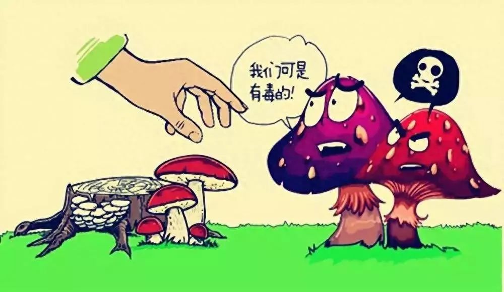 男童误食毒蘑菇离世，那句爸爸别担心我成永恒之痛