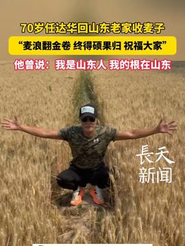任达华回山东收麦子，乡情与工作的双重收获