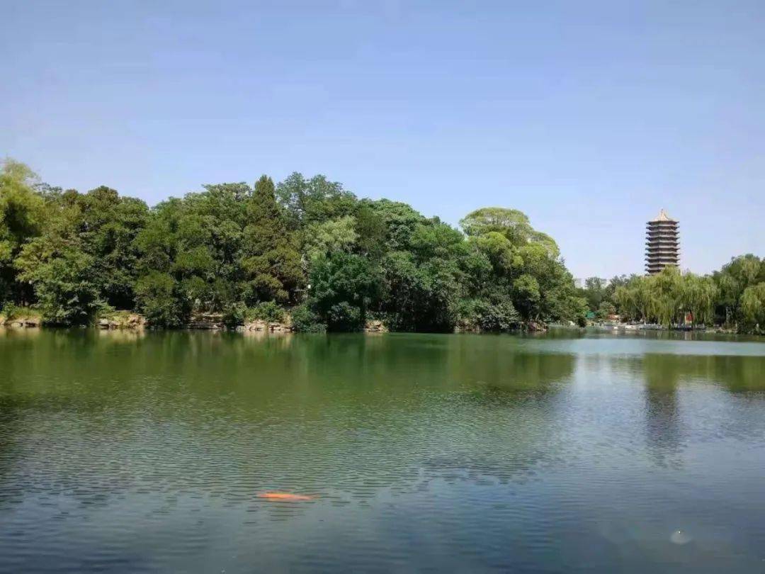 商家售卖未名湖湖水，现象背后的思考