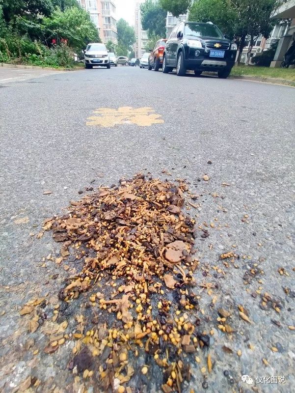 药渣倒路上的破解之道，多重策略应对环境污染问题