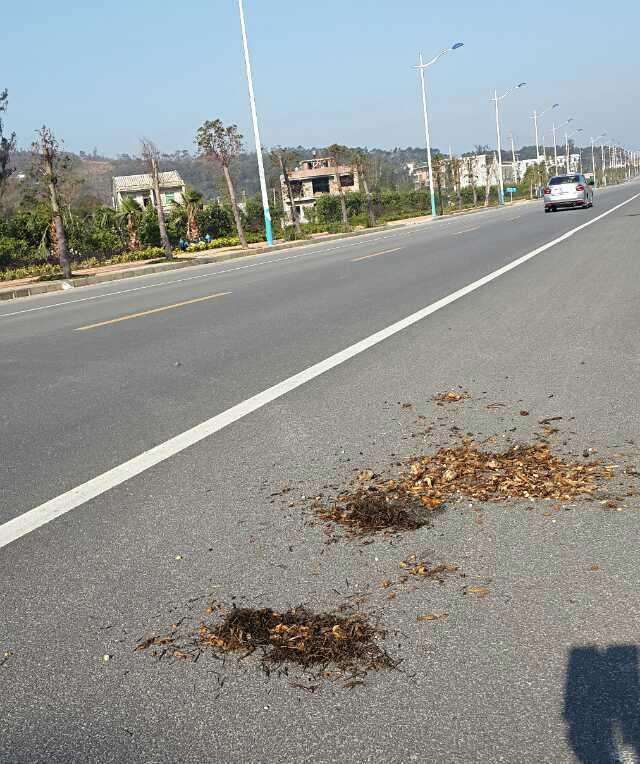 倒药渣在路上，一种现象背后的反思与启示