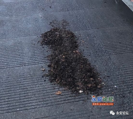 倒药渣在路上，一种现象背后的反思与启示