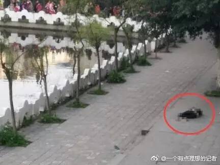 学校光伏板坠落悲剧致一名学生死亡