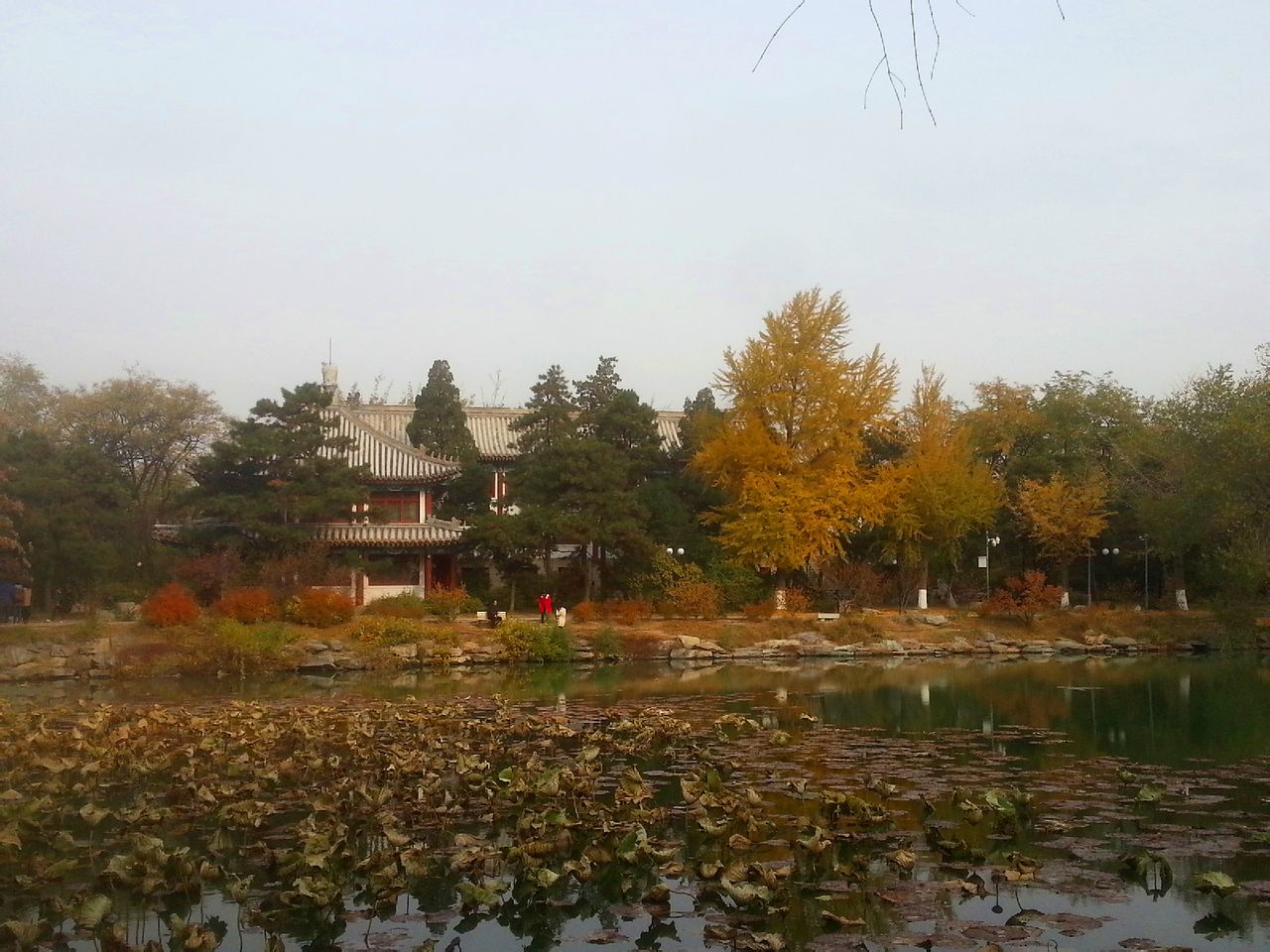 北京大学未名湖读音，探寻古老学府与自然美景的交融