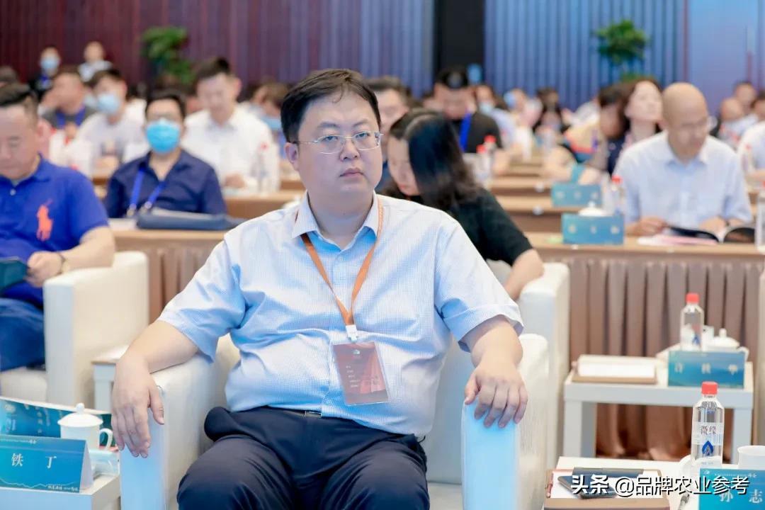 共建繁荣经济带，共创未来新篇章