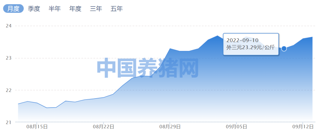 日投放12万吨过期米的背后，一场关于粮食与社会的深度探讨