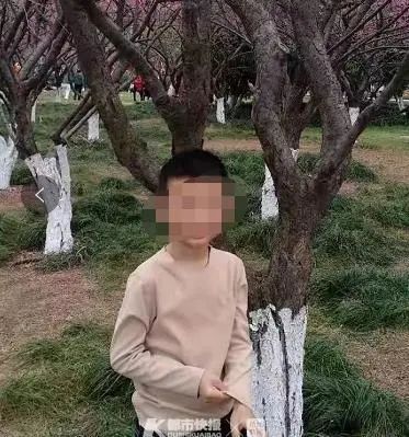 景区惊魂，一名八岁男孩的神秘失踪