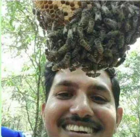 印度亿万富翁误吞蜜蜂身亡，悲剧背后的警示