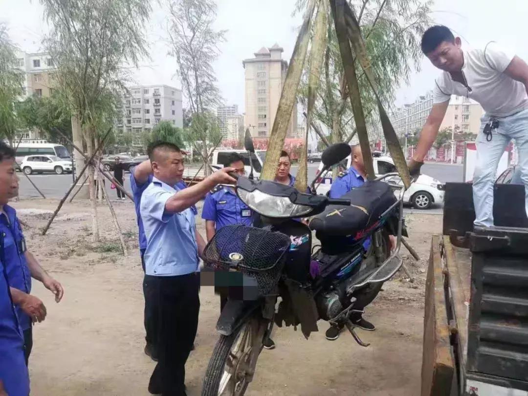 交巡警被妻子举报事件深度解析