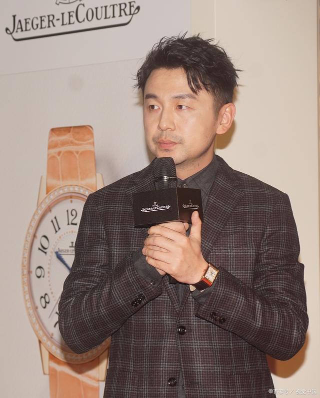 雷佳音评价，多维度的演技派实力展现