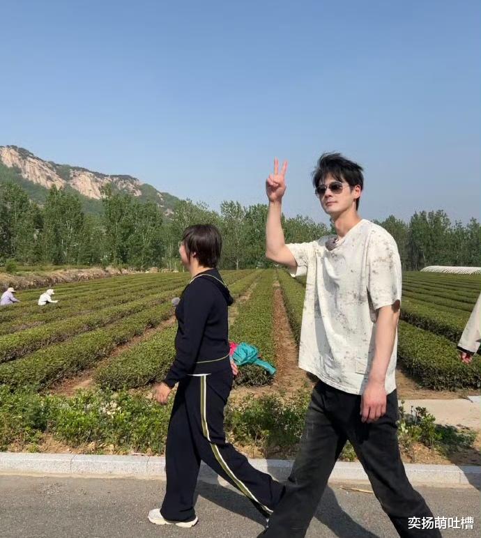 郭品超回归山东，亲历收麦子的辛勤与喜悦